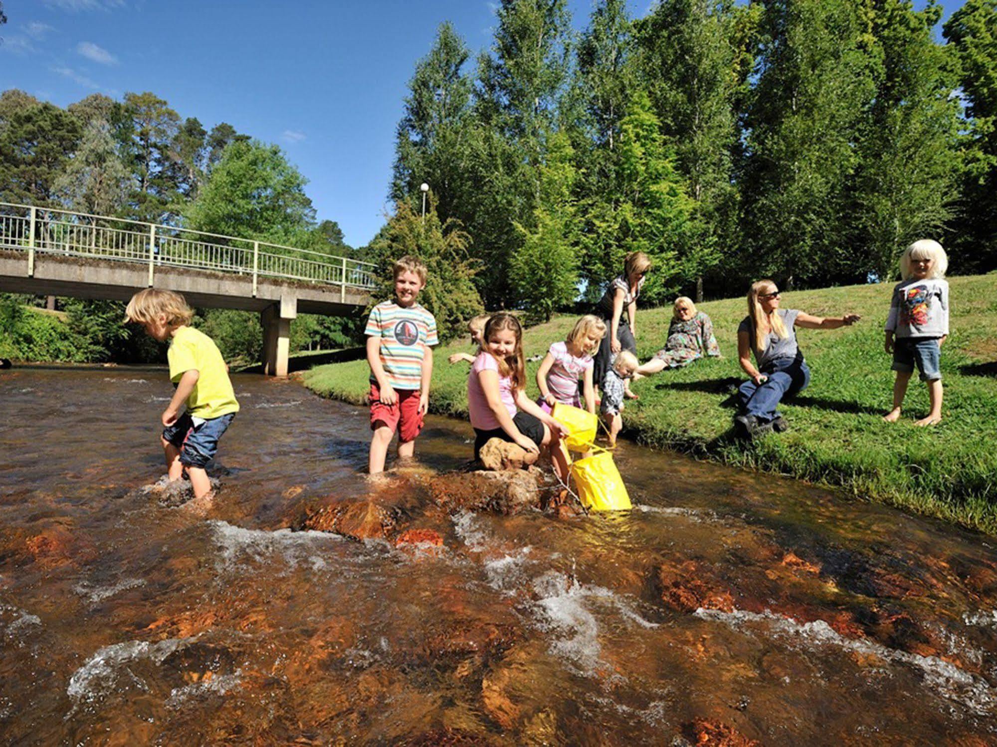 Nrma Bright Holiday Park Екстериор снимка